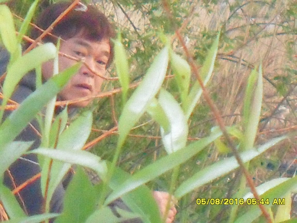 SDC10712.JPG