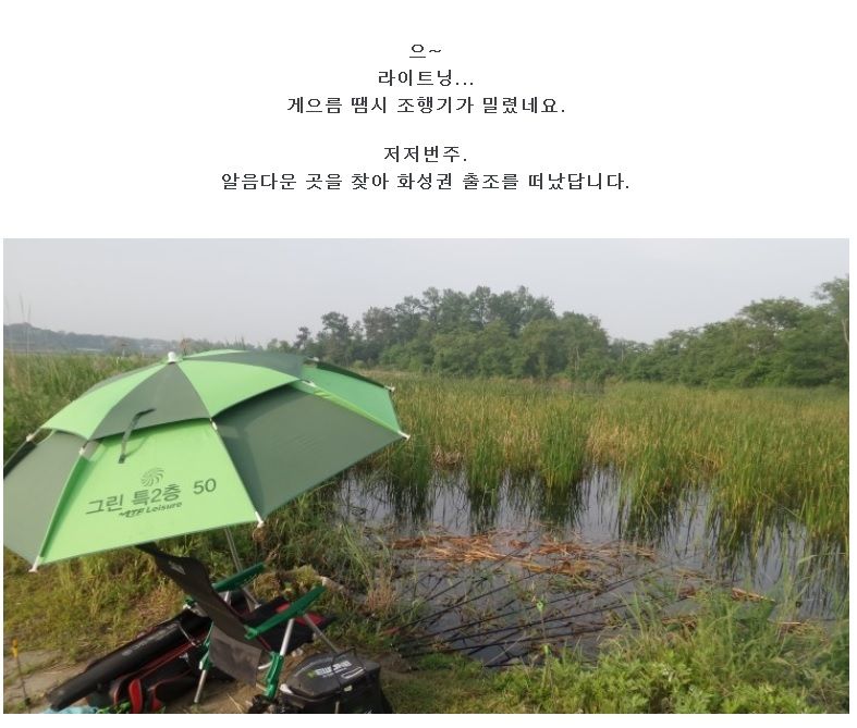 라이트닝 민물낚시 노지조행기 > 알흠다운 화성권 : 낚시사랑