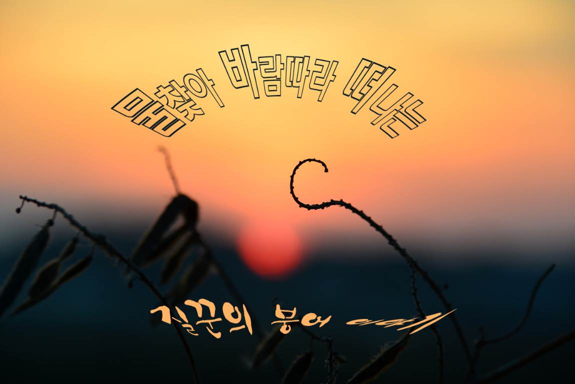 질꾼 민물낚시 노지조행기 > 야반도주했습니다. ^^ : 낚시사랑