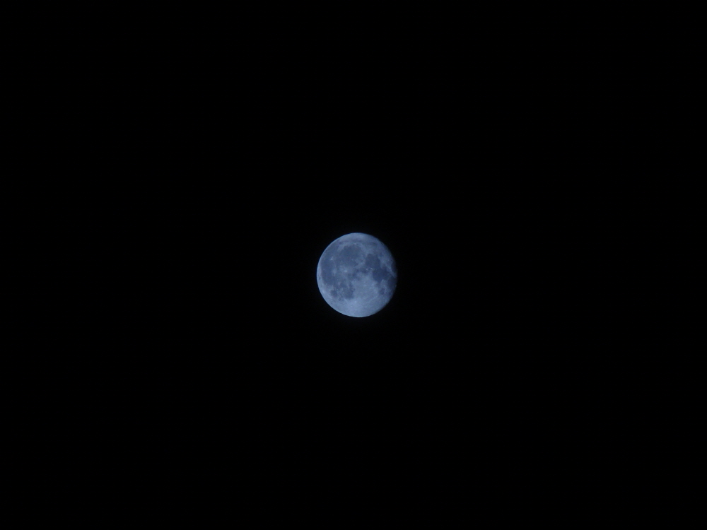 ũ⺯ȯ_DSC01363.JPG