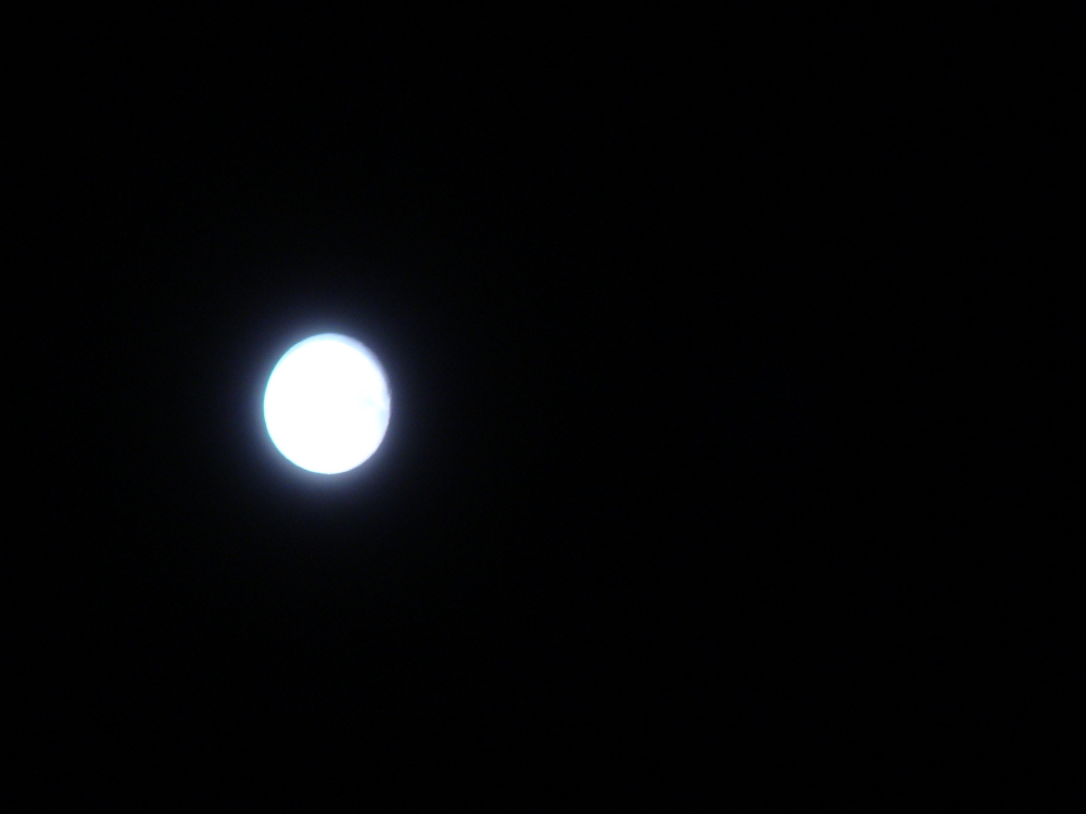 ũ⺯ȯ_DSC01359.JPG