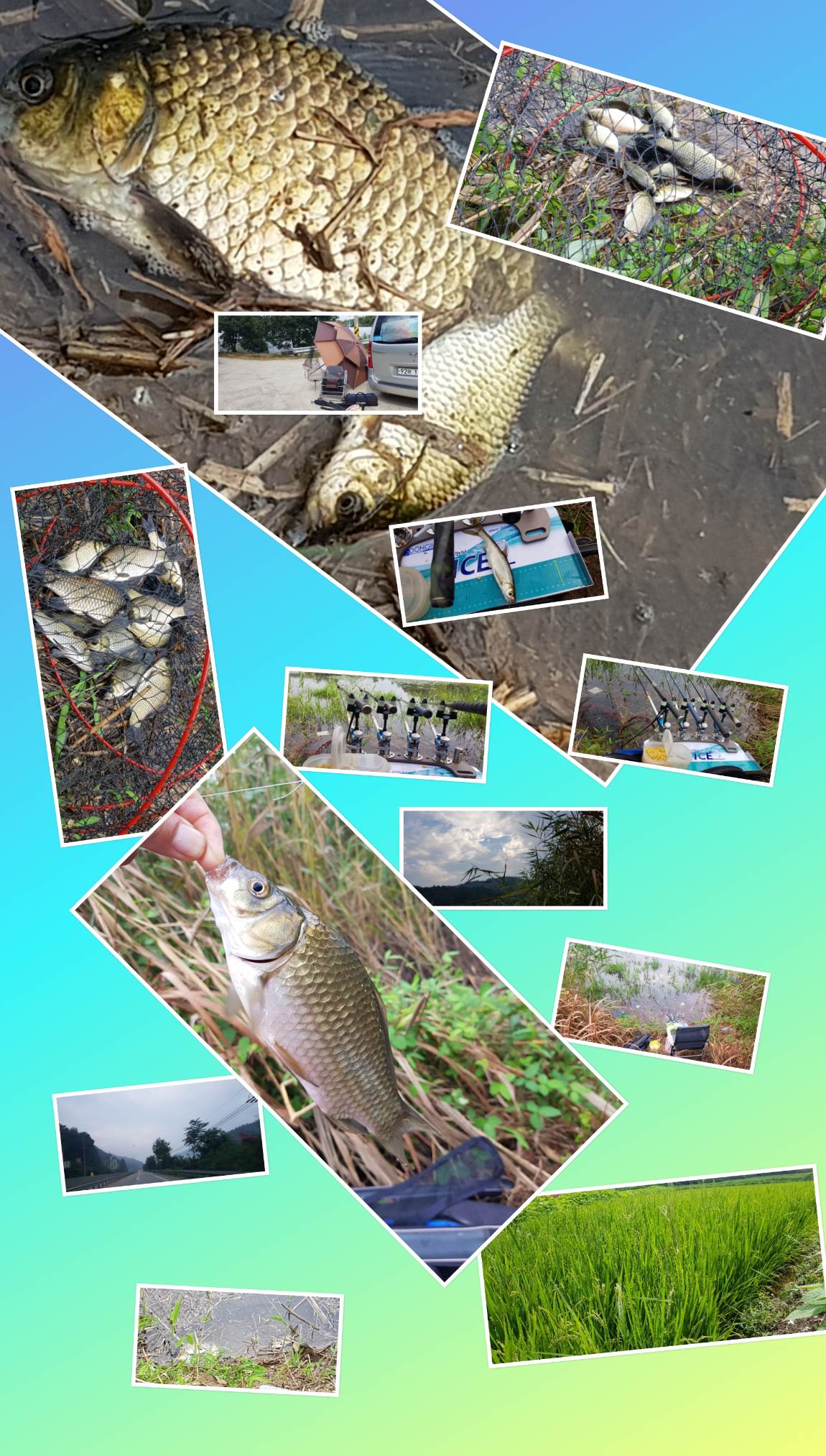 CollageMaker_20190823_162931093.jpg