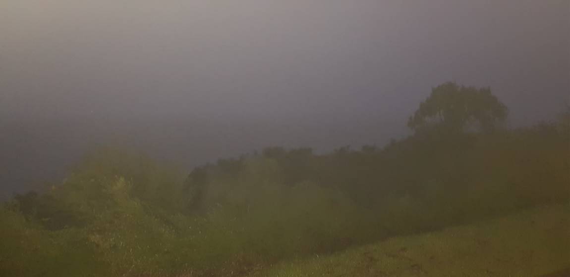 20190909_054716.jpg