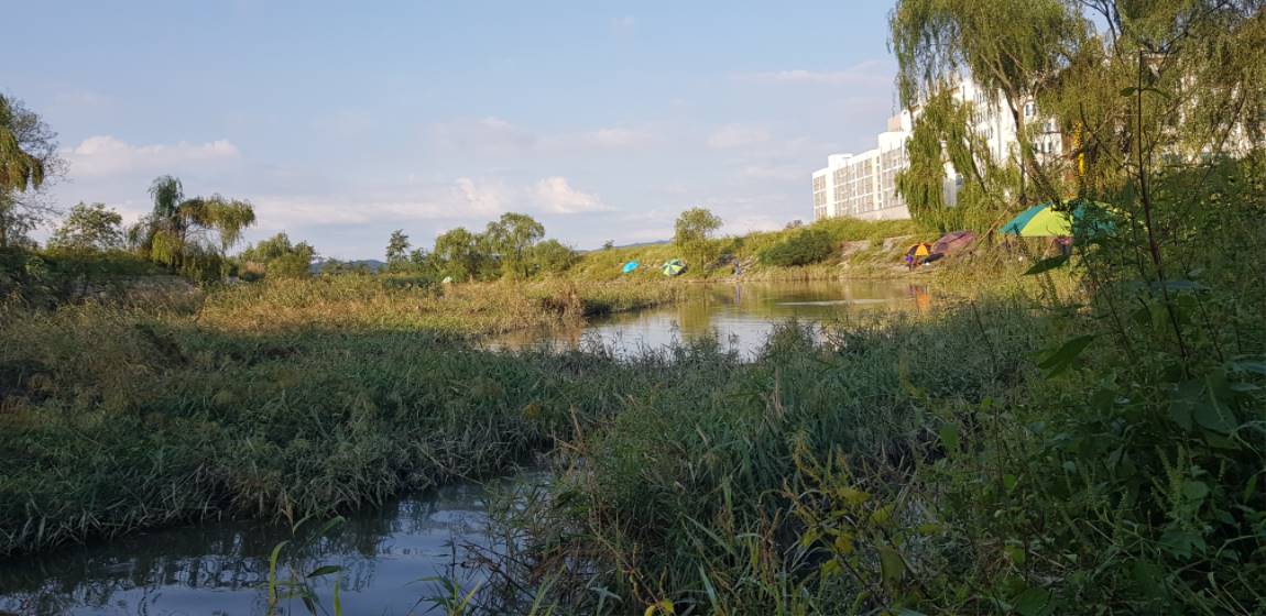 20190915_171333.jpg