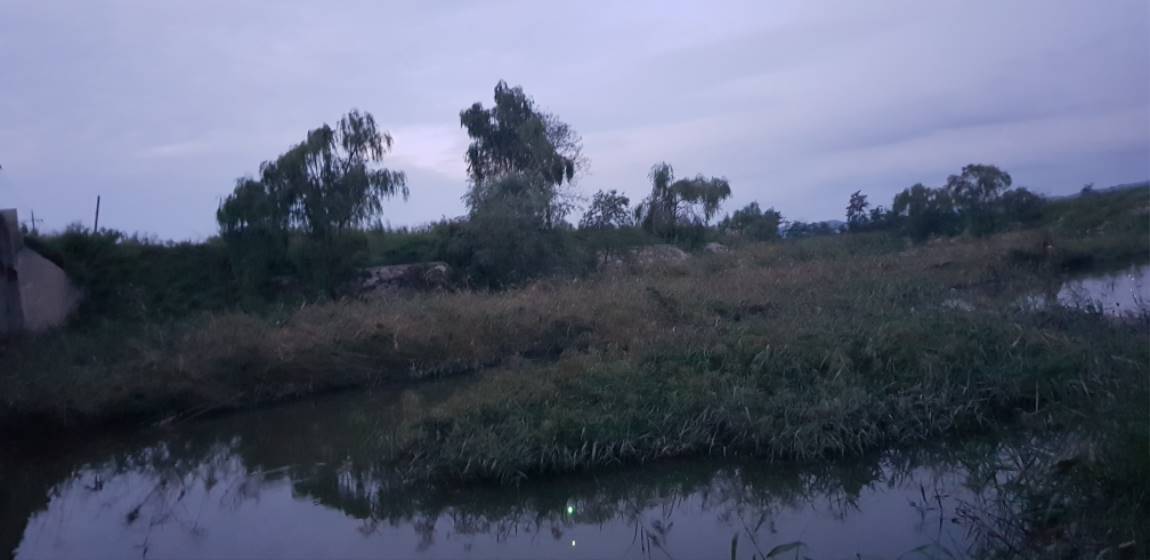20190915_190322.jpg