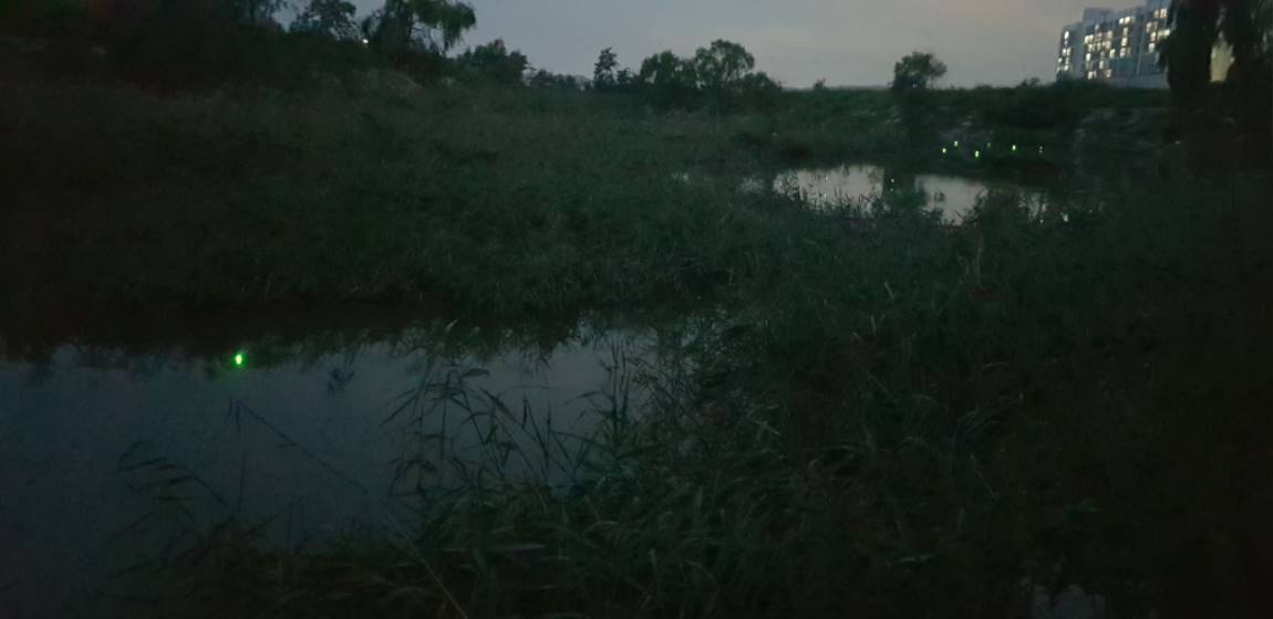 20190915_191344.jpg
