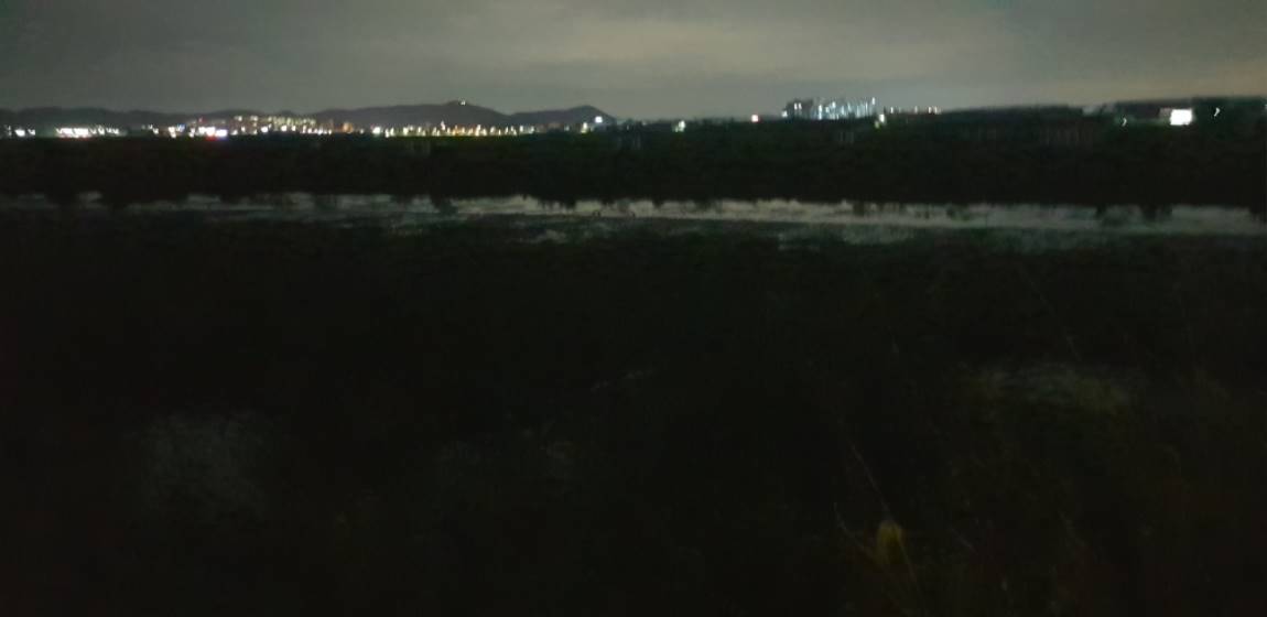 20190915_193159.jpg