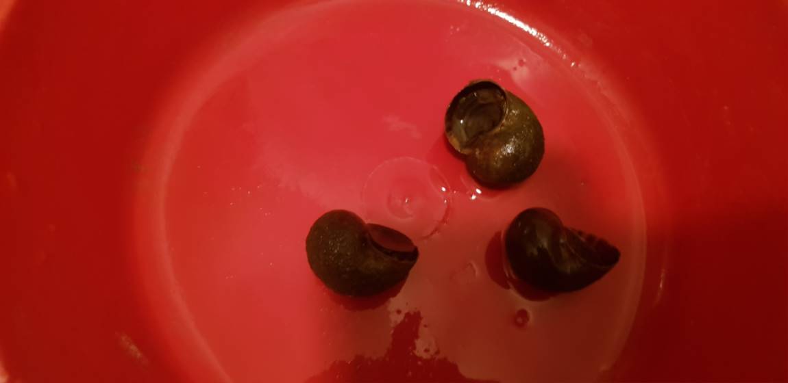 20190916_230719.jpg