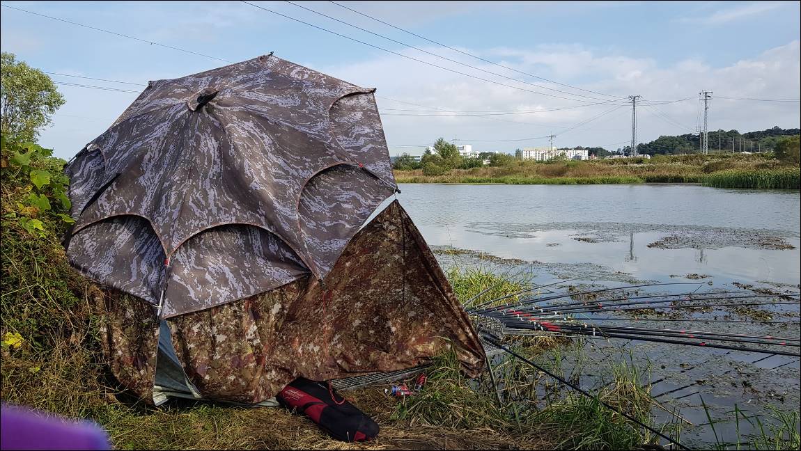 59.jpg