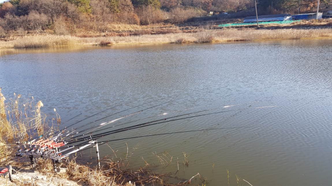 20191205_091604.jpg