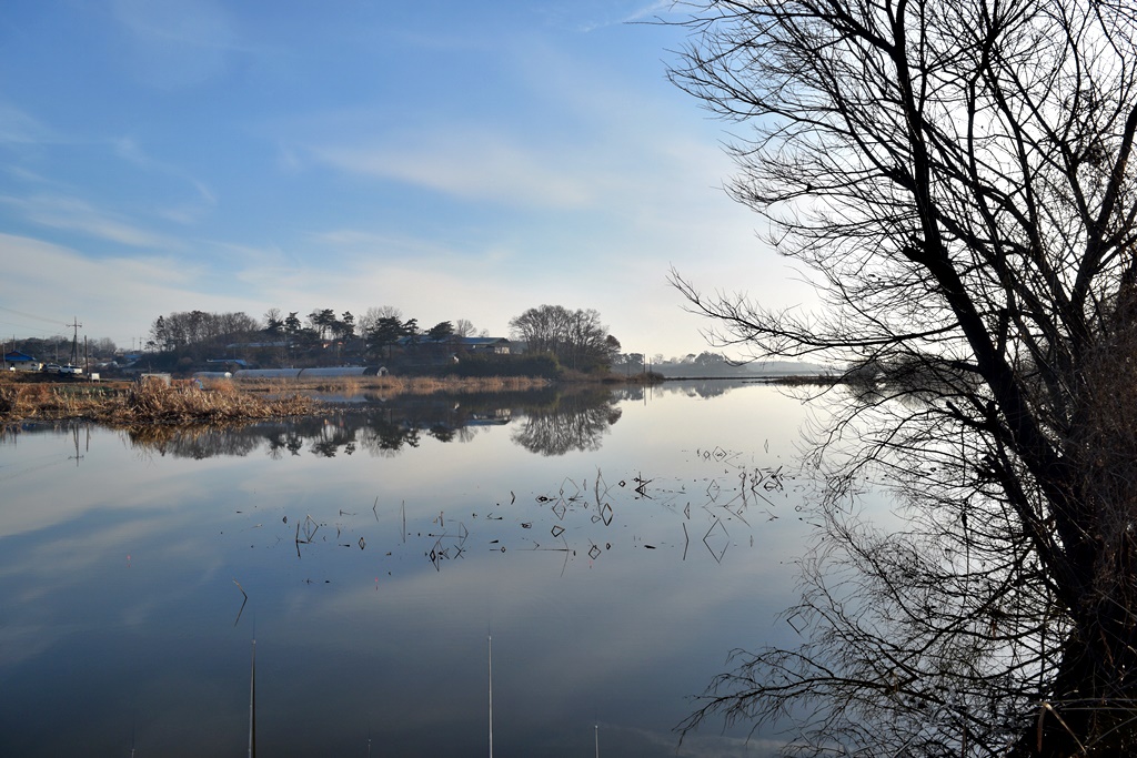 DSC_0004.JPG