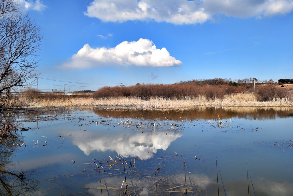 DSC_0008.JPG