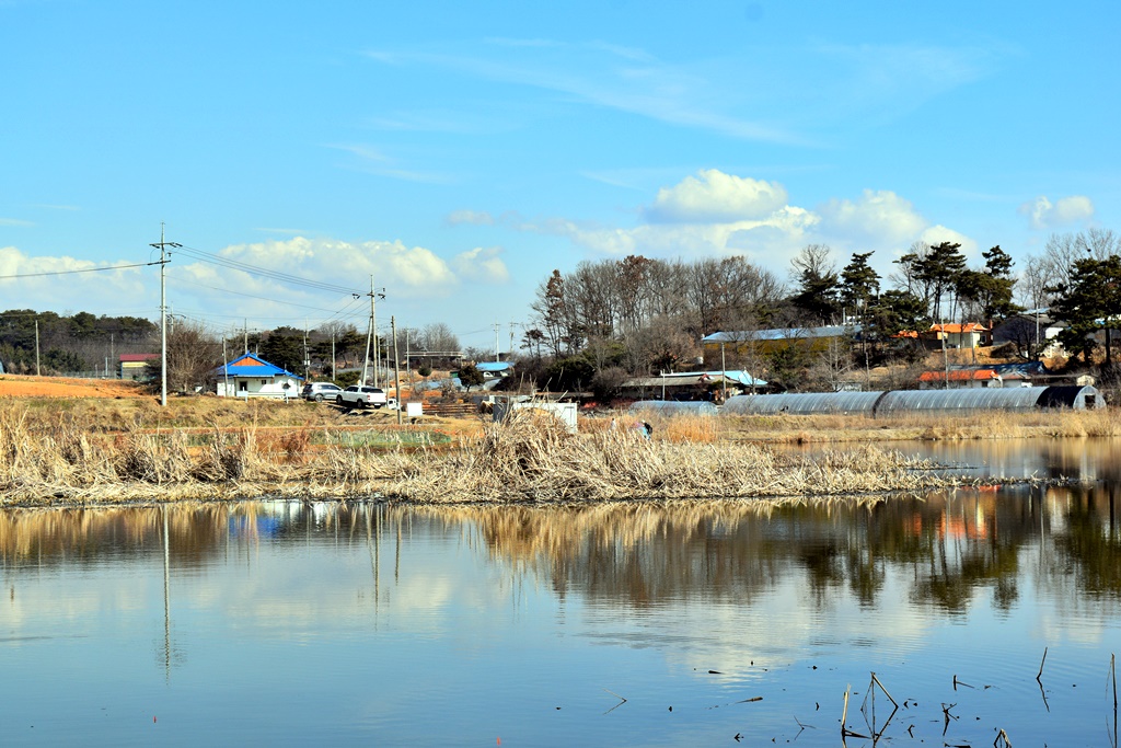 DSC_0011.JPG