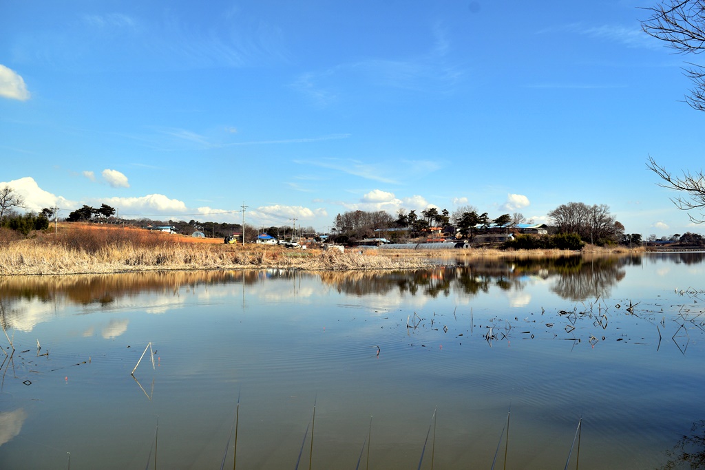 DSC_0009.JPG