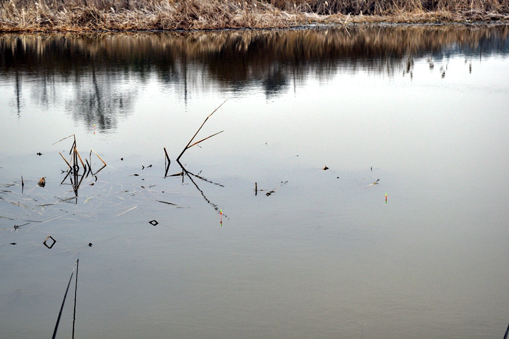 DSC_0036.JPG