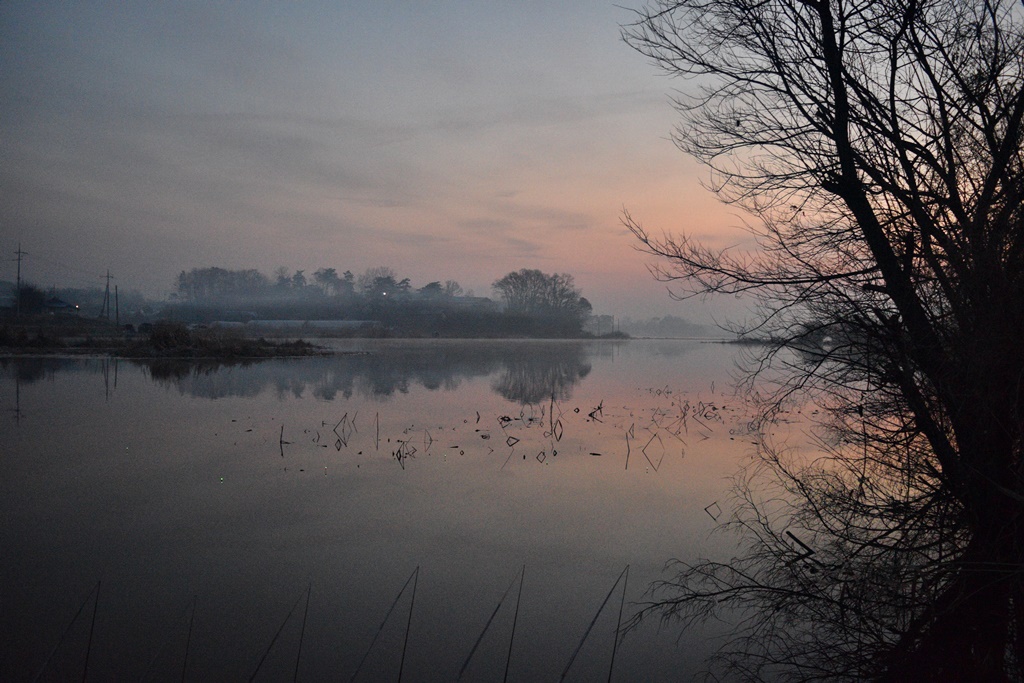 DSC_0041.JPG