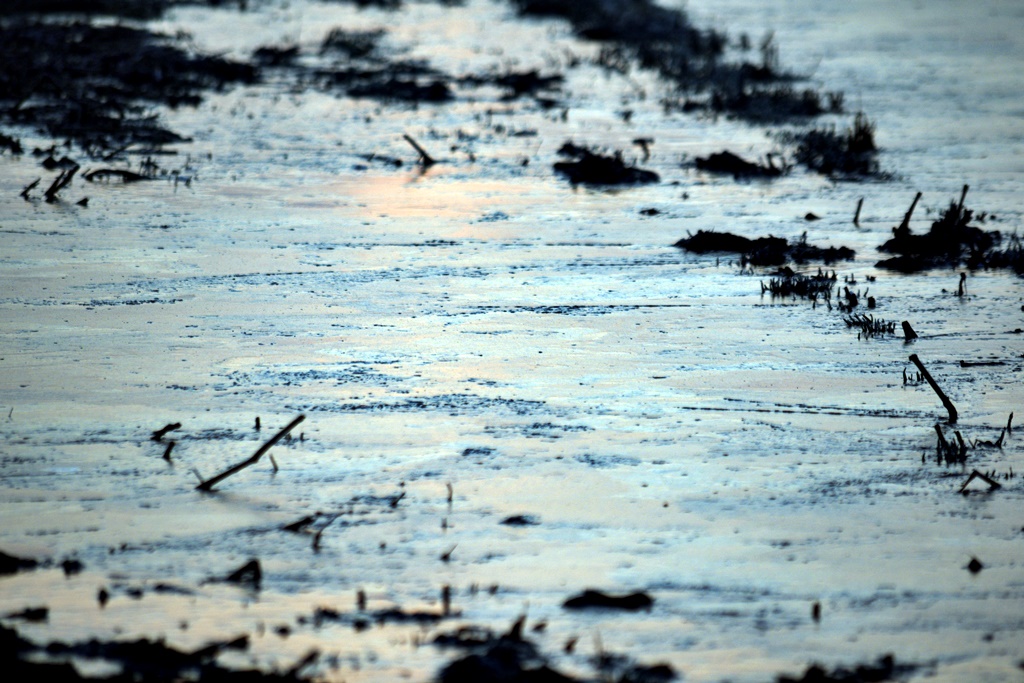 DSC_0055.JPG