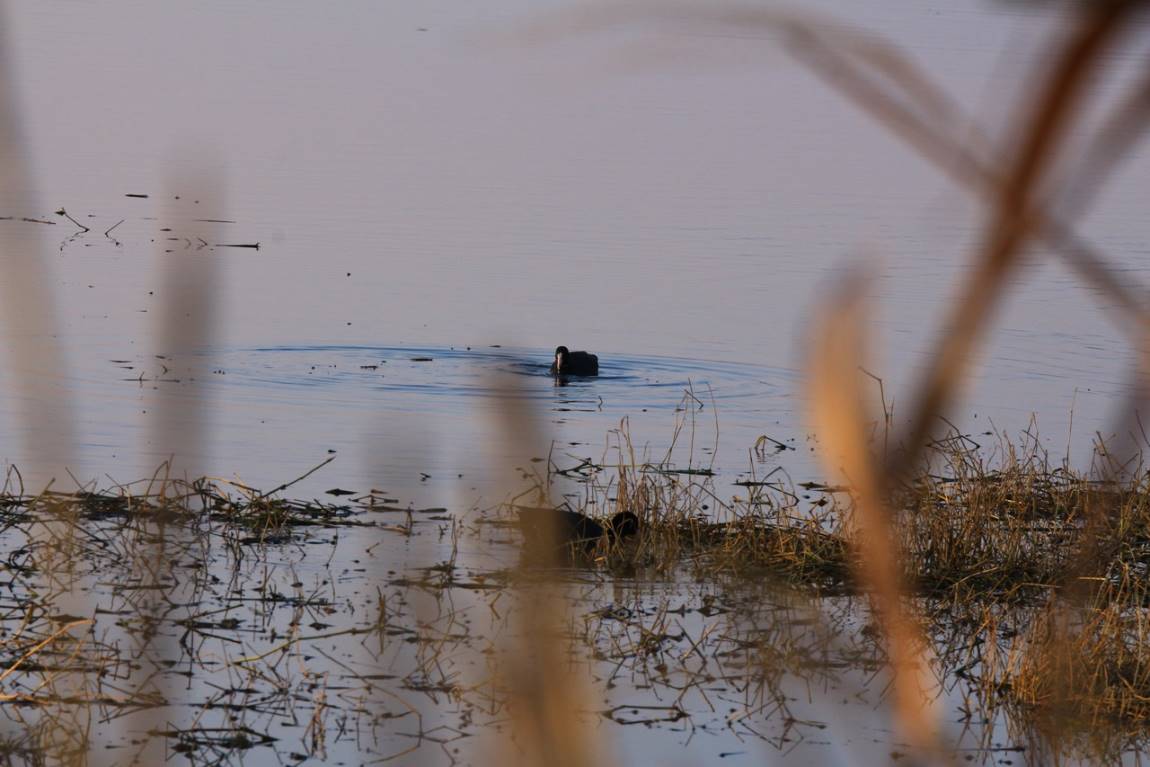 IMG_0107.JPG