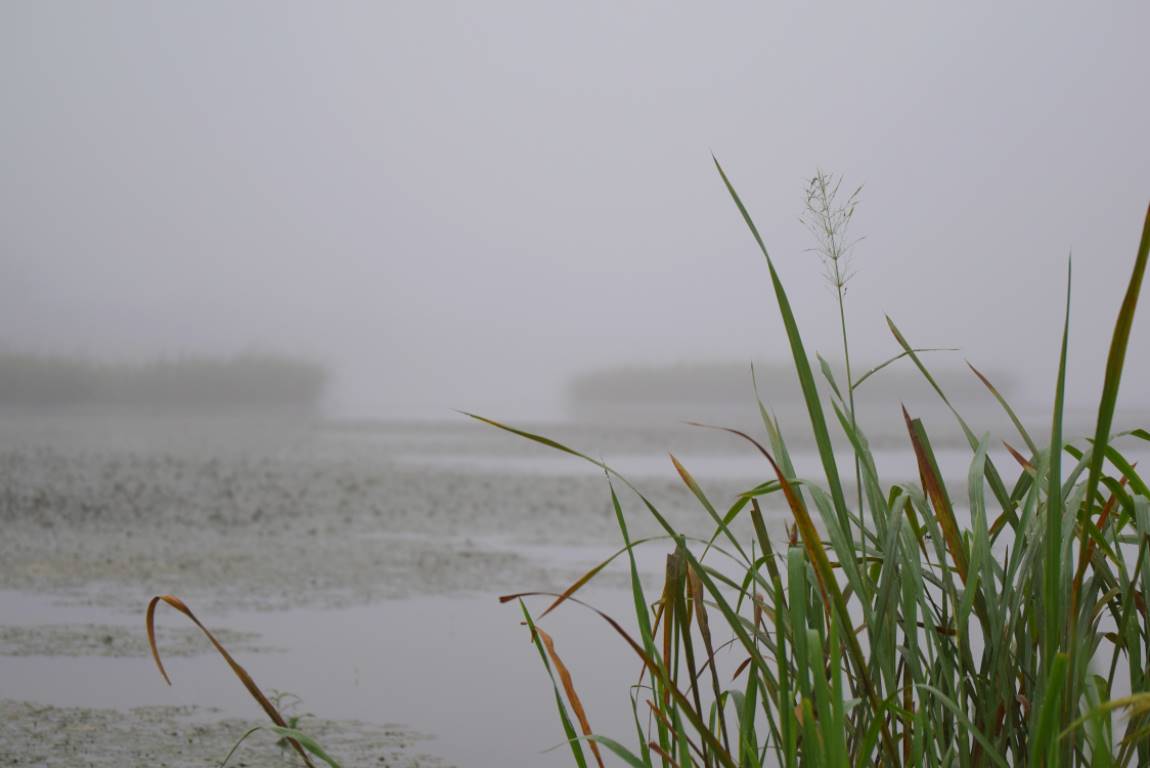 DSC_0146.JPG