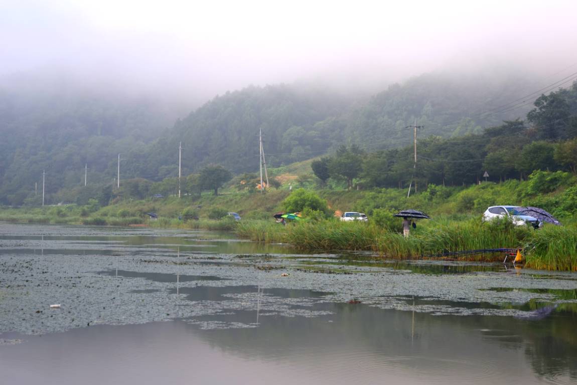 DSC_0208.JPG