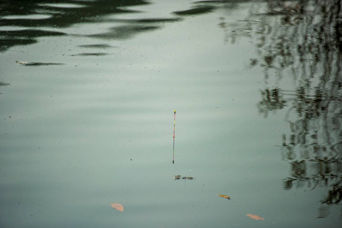 JUN_7457-HDR.jpg