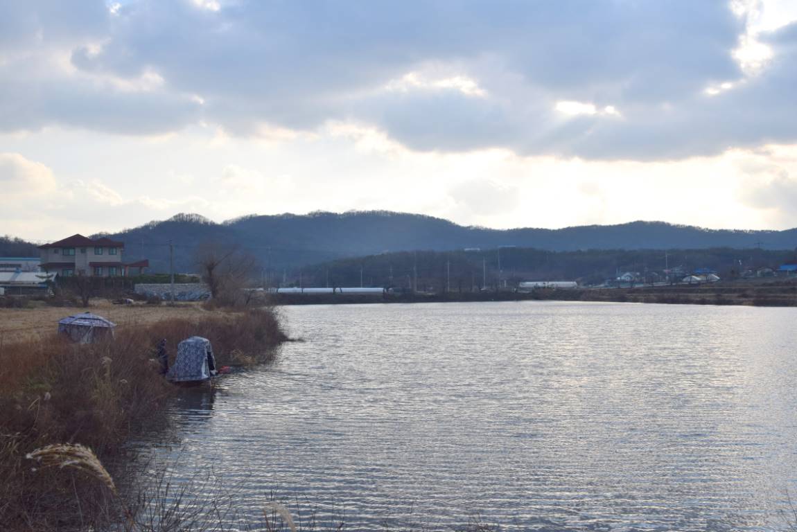 DSC_0002.JPG