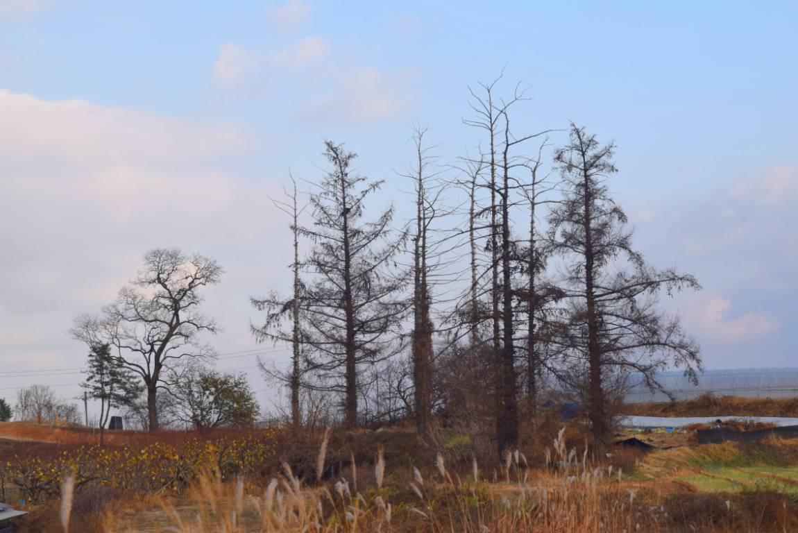 DSC_0018.JPG
