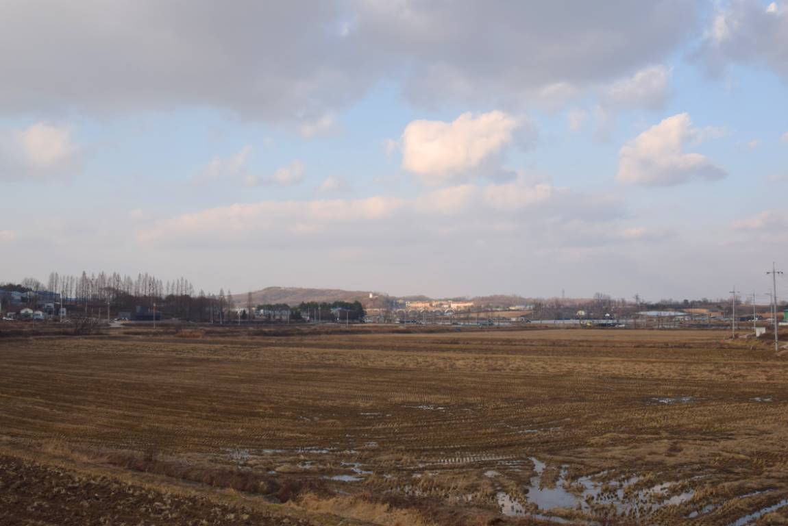 DSC_0019.JPG