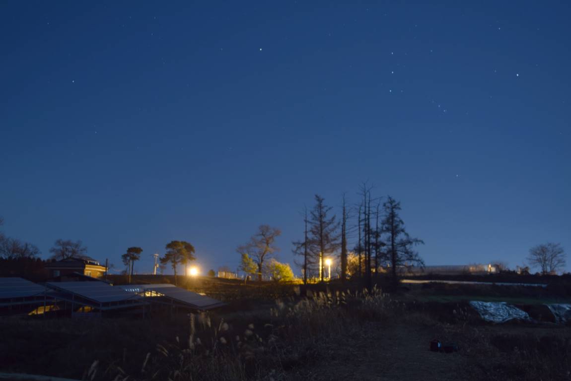 DSC_0039.JPG