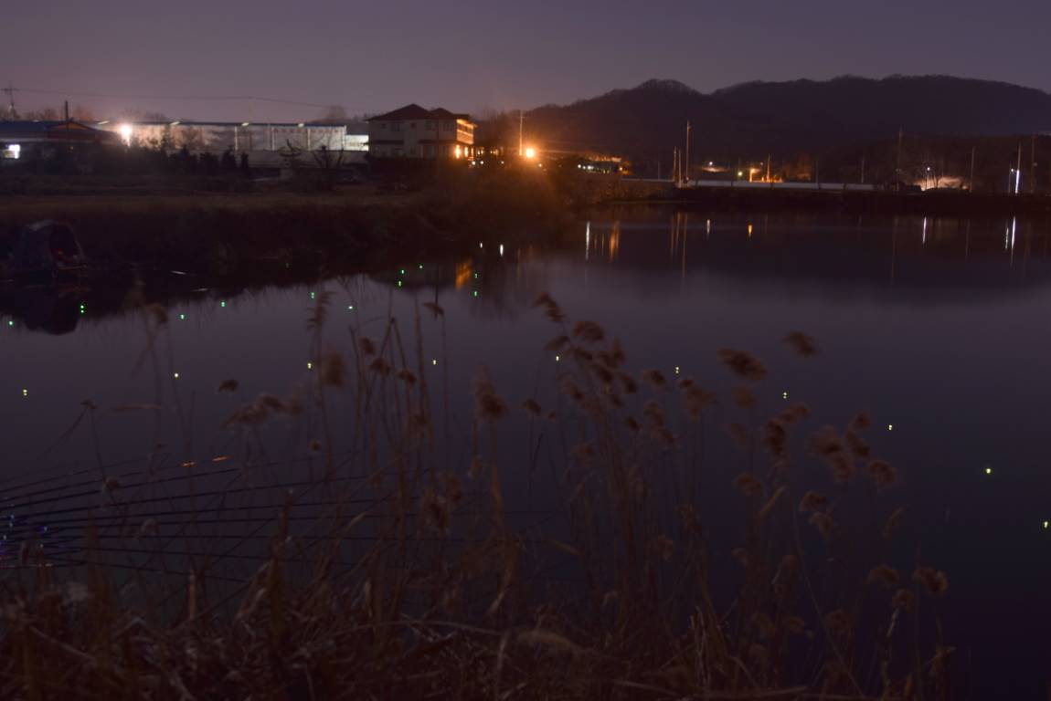 DSC_0050.JPG