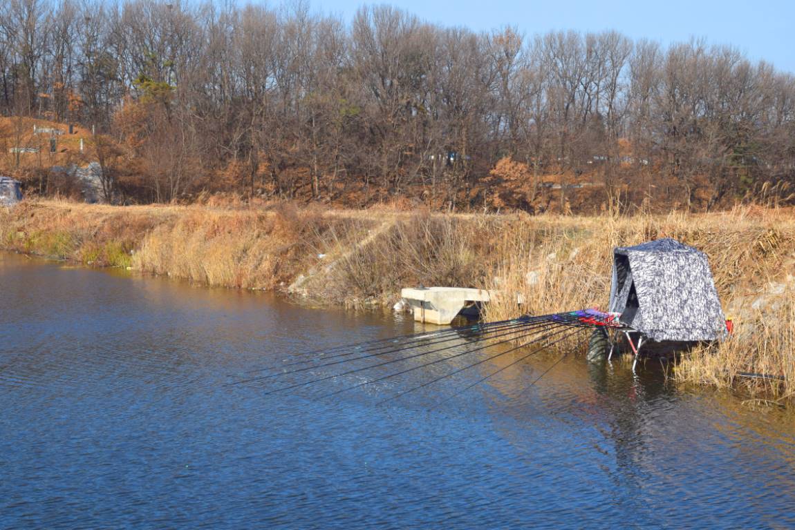 DSC_0079.JPG
