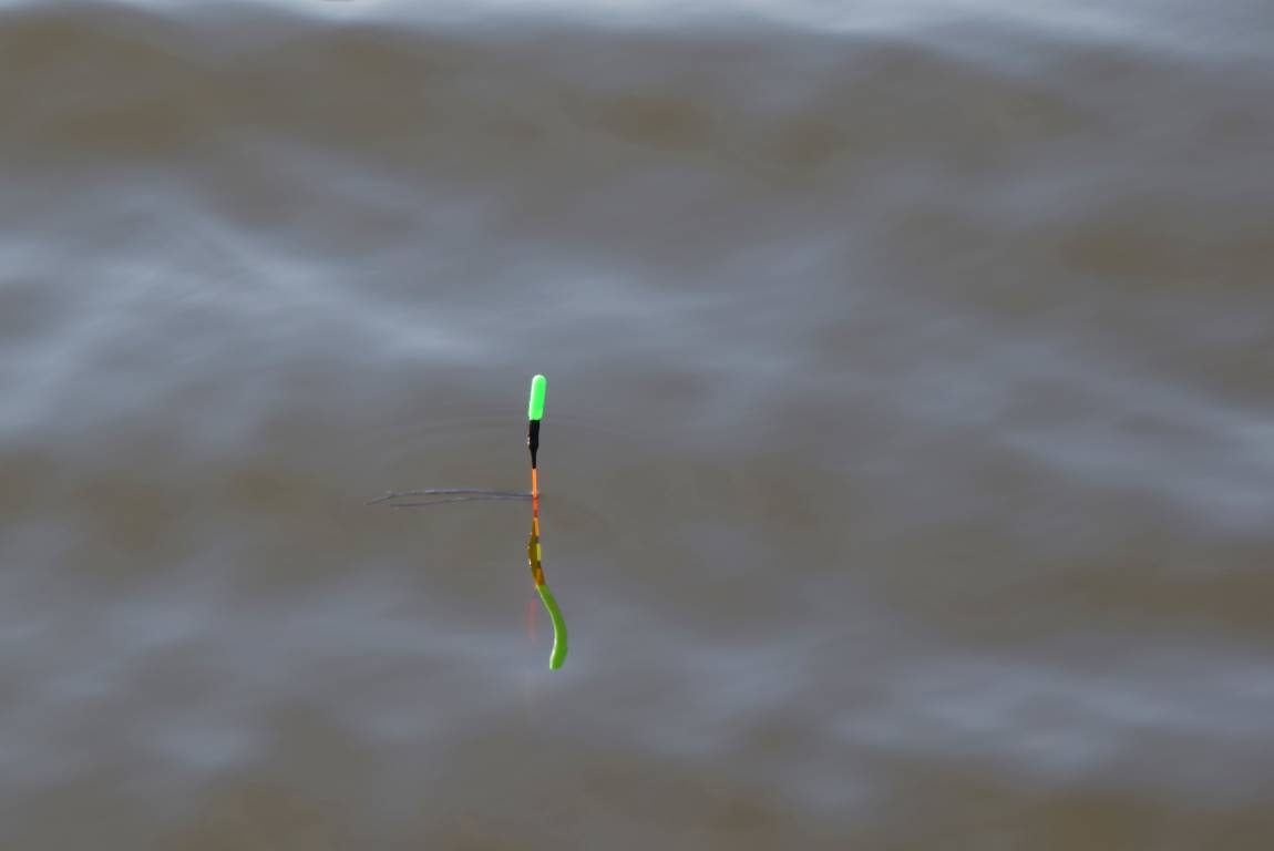 DSC_0081.JPG