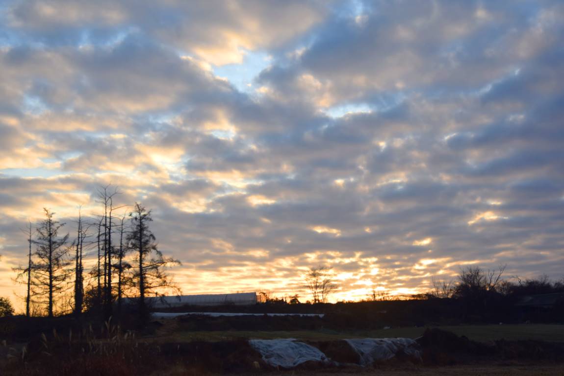 DSC_0144.JPG
