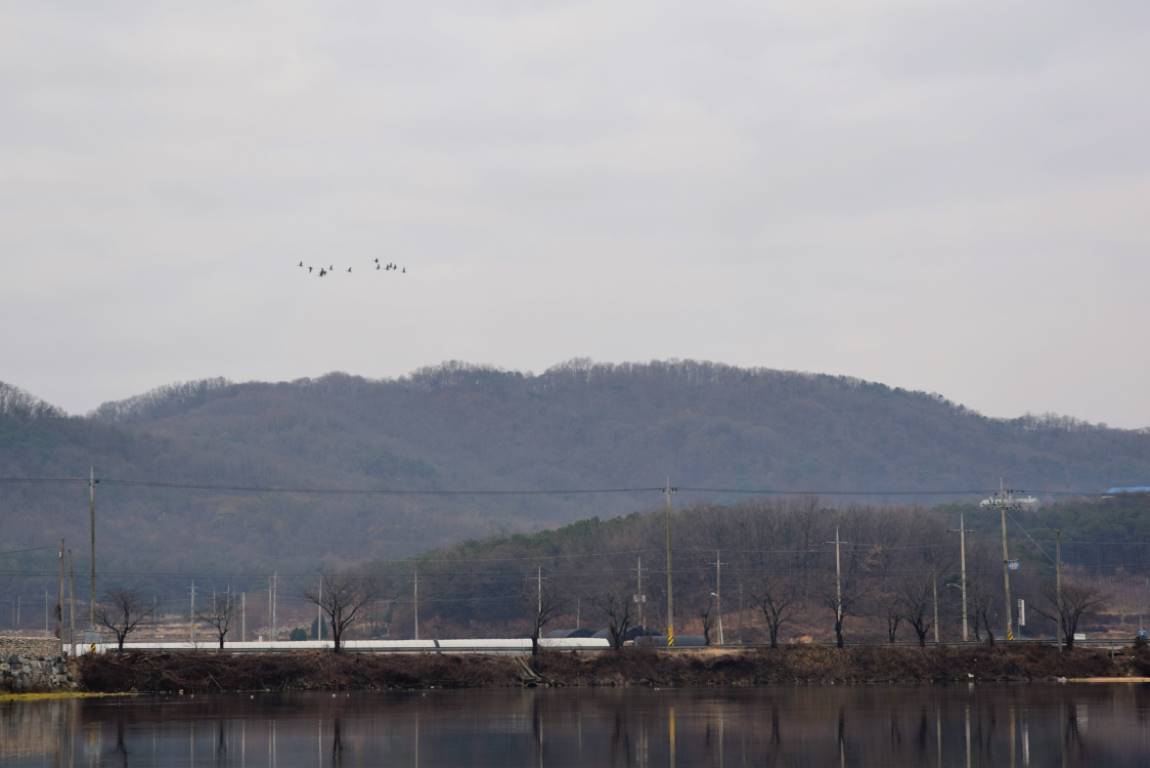 DSC_0148.JPG