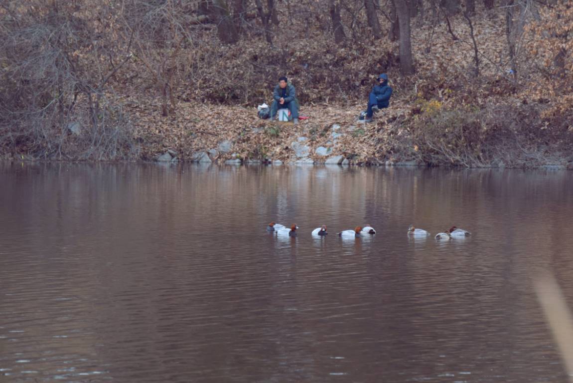 DSC_0191.JPG