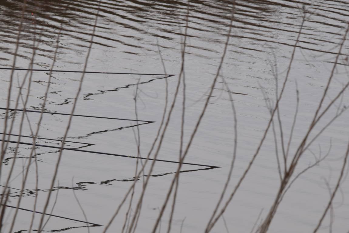 DSC_0174.JPG