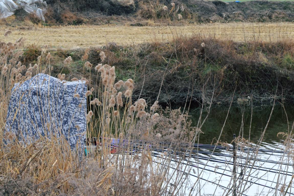DSC_0175.JPG