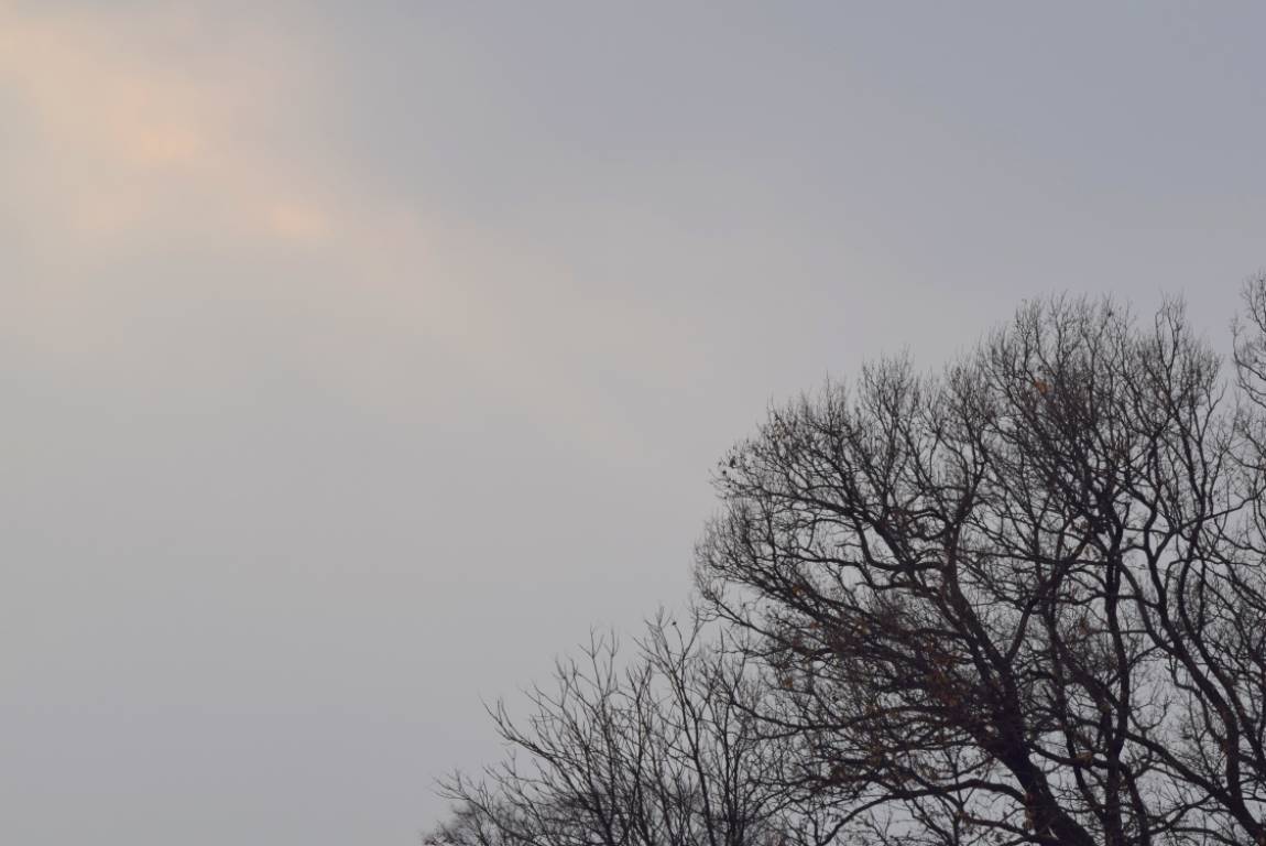 DSC_0185.JPG