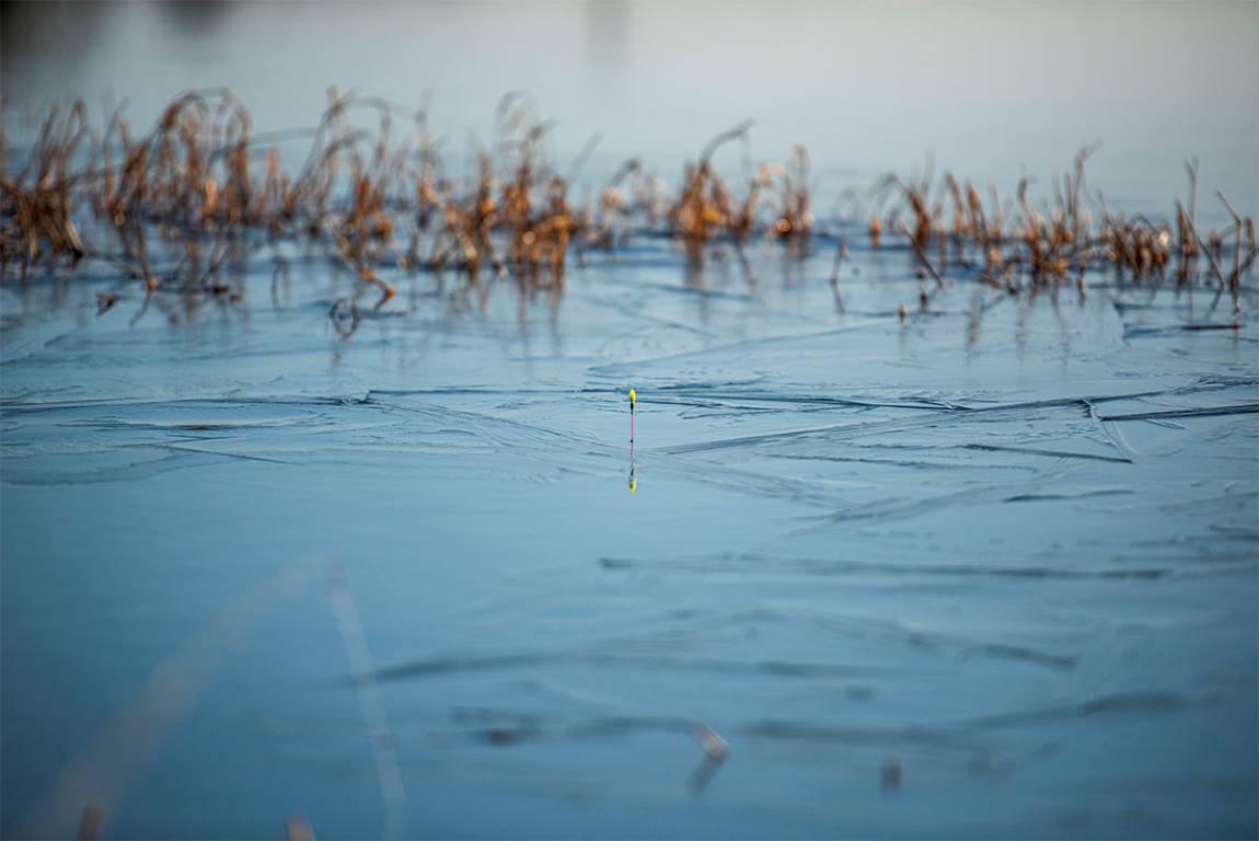 DSC_0267-HDR.jpg