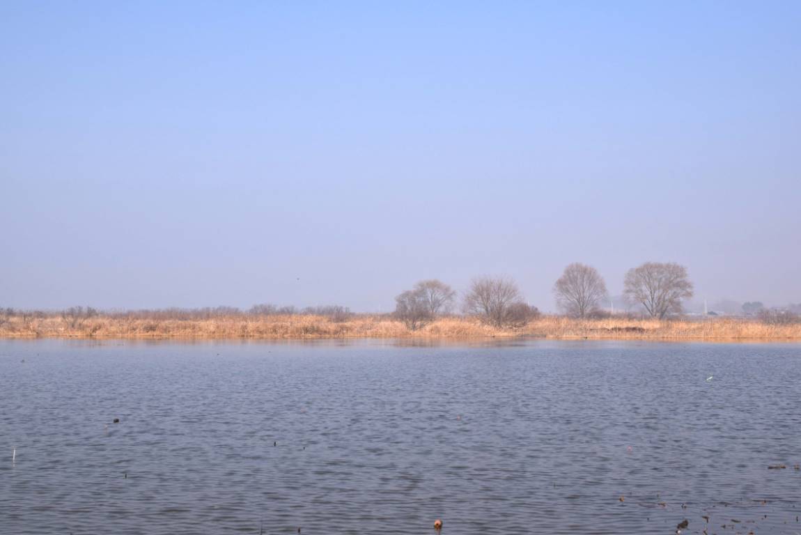 DSC_0017.JPG