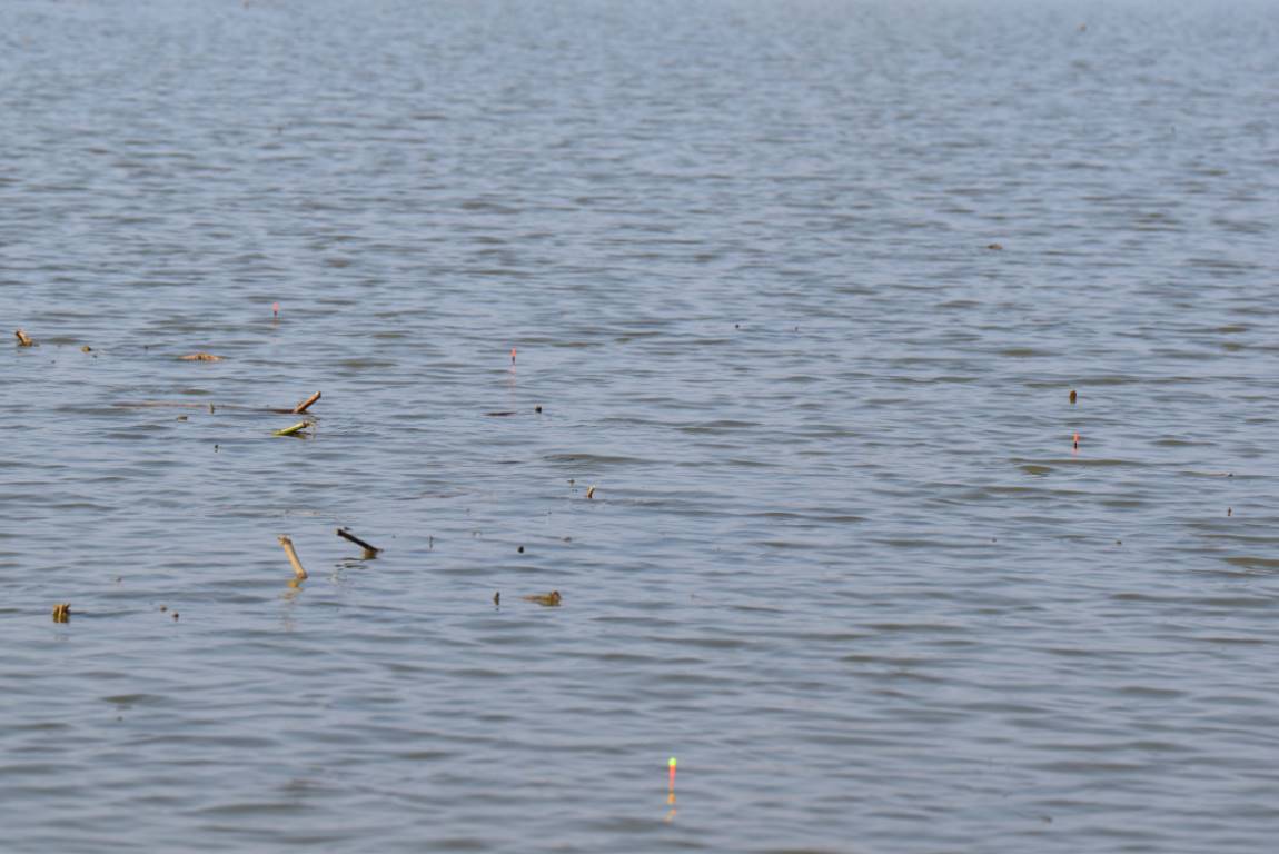 DSC_0039.JPG