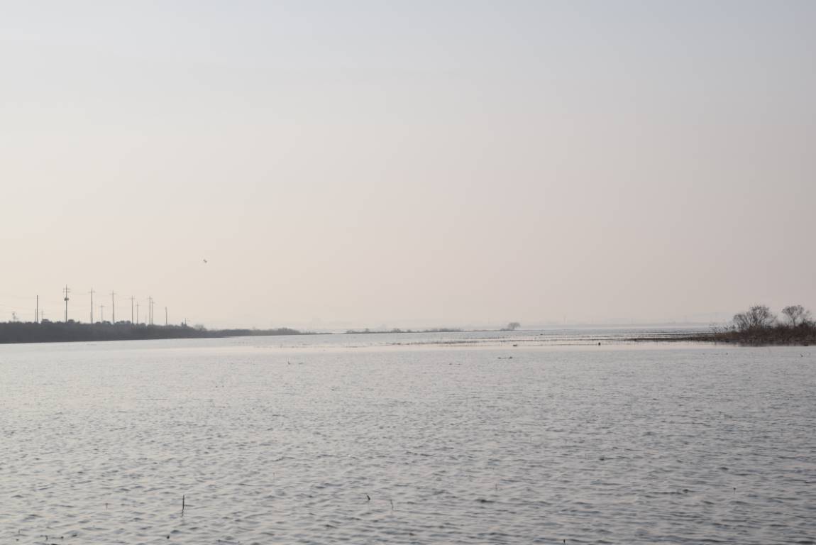 DSC_0056.JPG