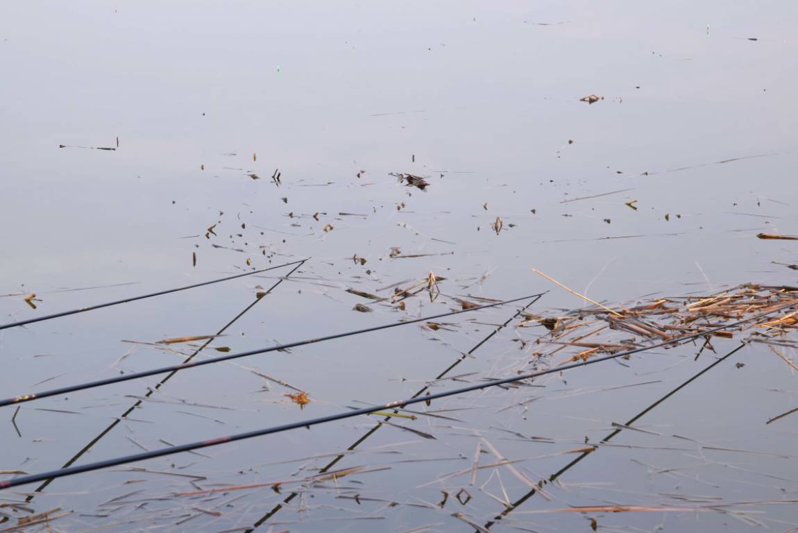 DSC_0072.JPG