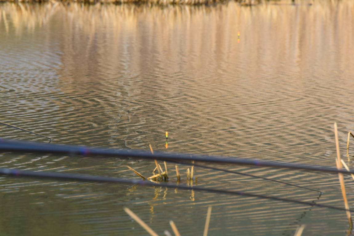 DSC_0050.JPG