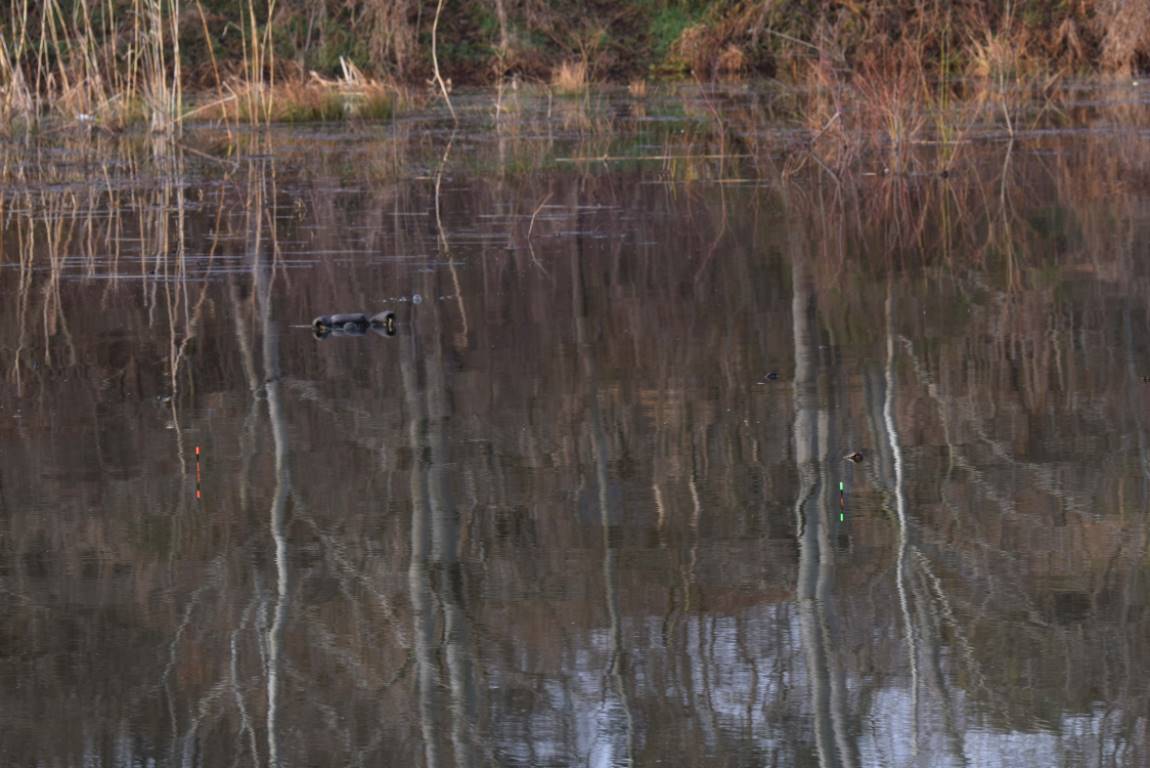 DSC_0159.JPG