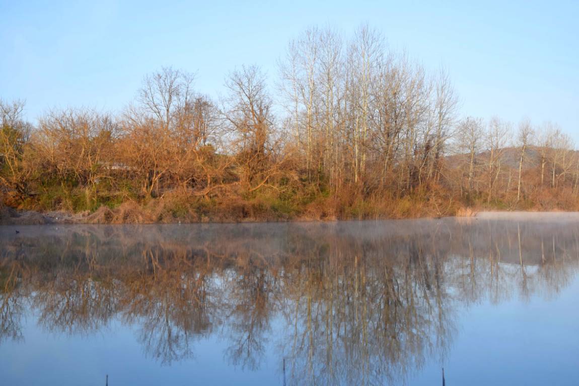 DSC_0203.JPG