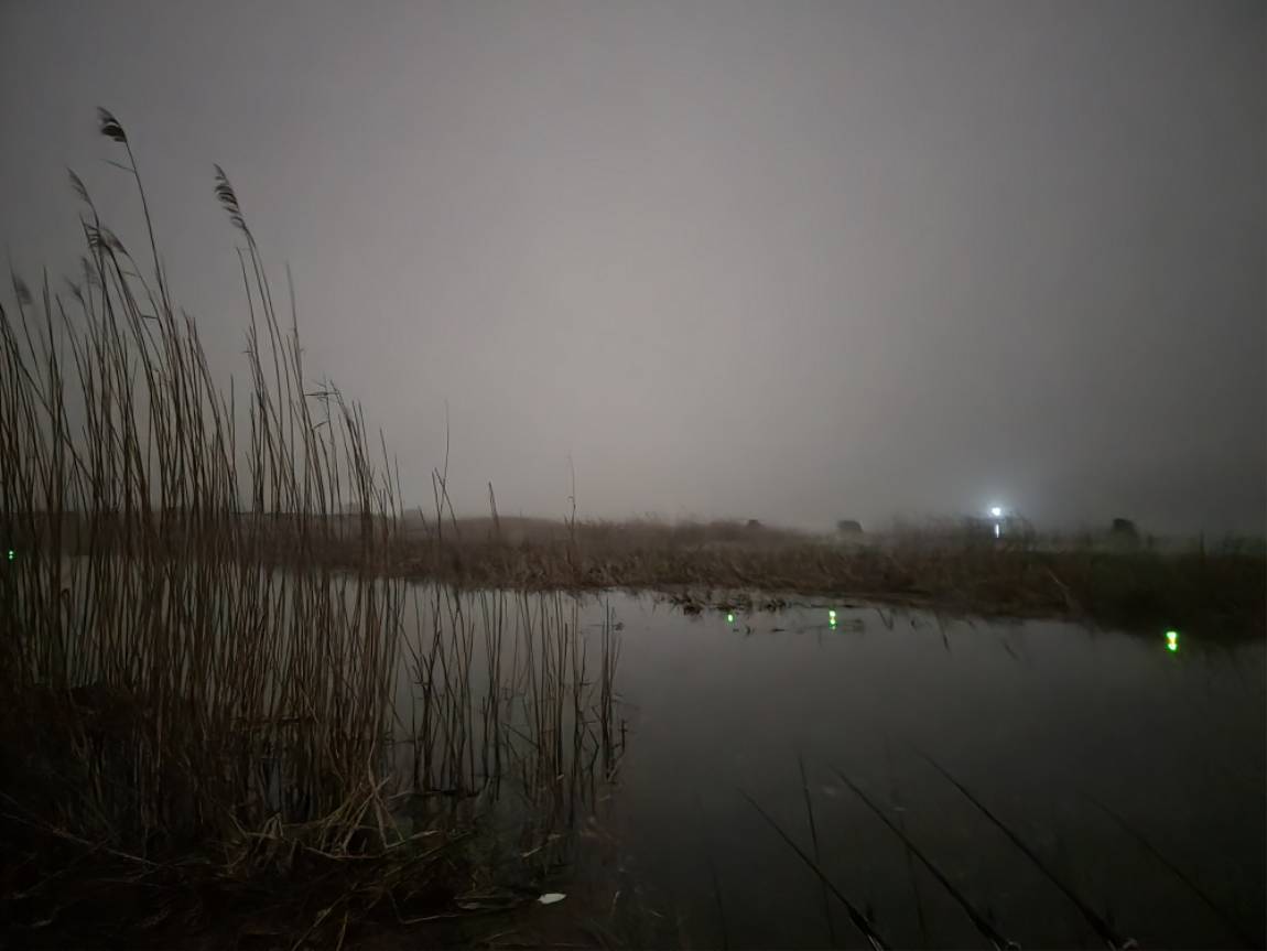 20210325_222846.jpg
