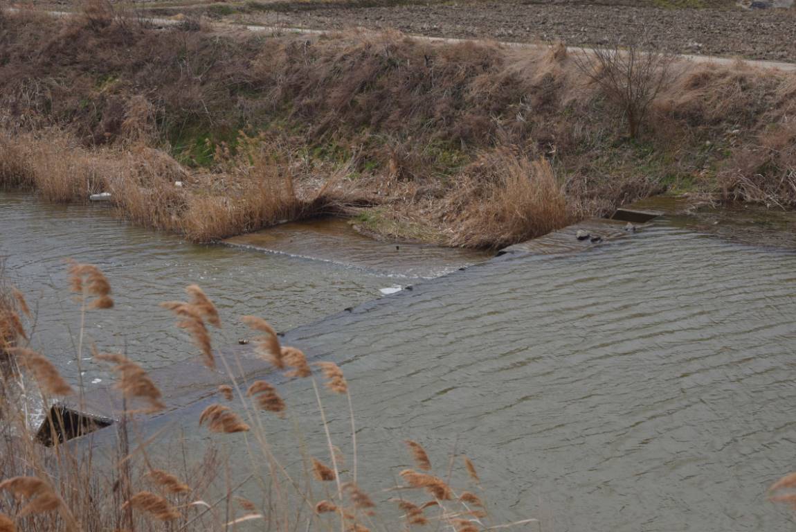 DSC_0330.JPG
