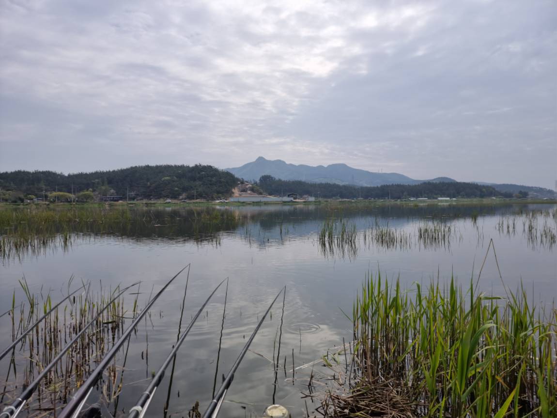 20210422_093537 - 복사본.jpg