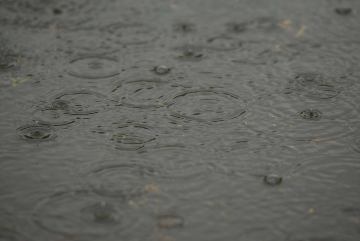 DSC_0730.JPG